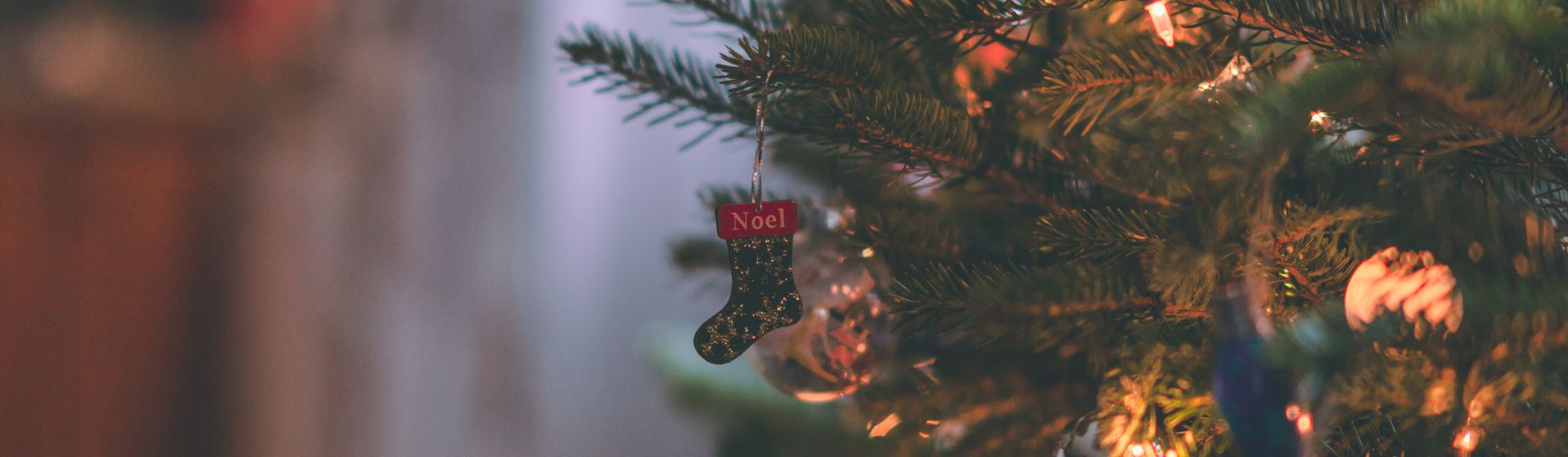 ESTAS NAVIDADES, REGALA PERLAS