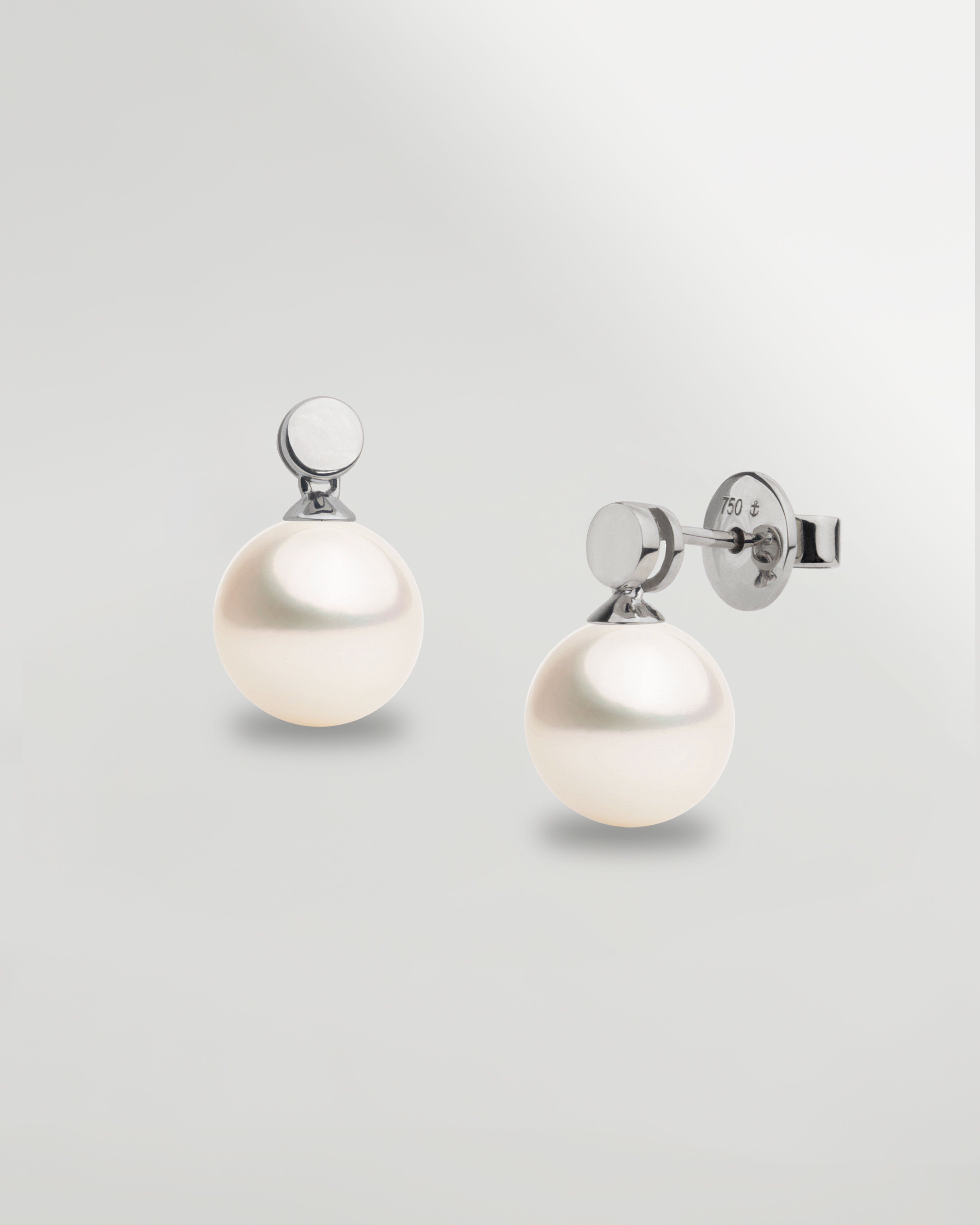 Pendientes Cassia con Perlas Agua dulce y Disco de Oro Blanco | 8 - 8,5 mm