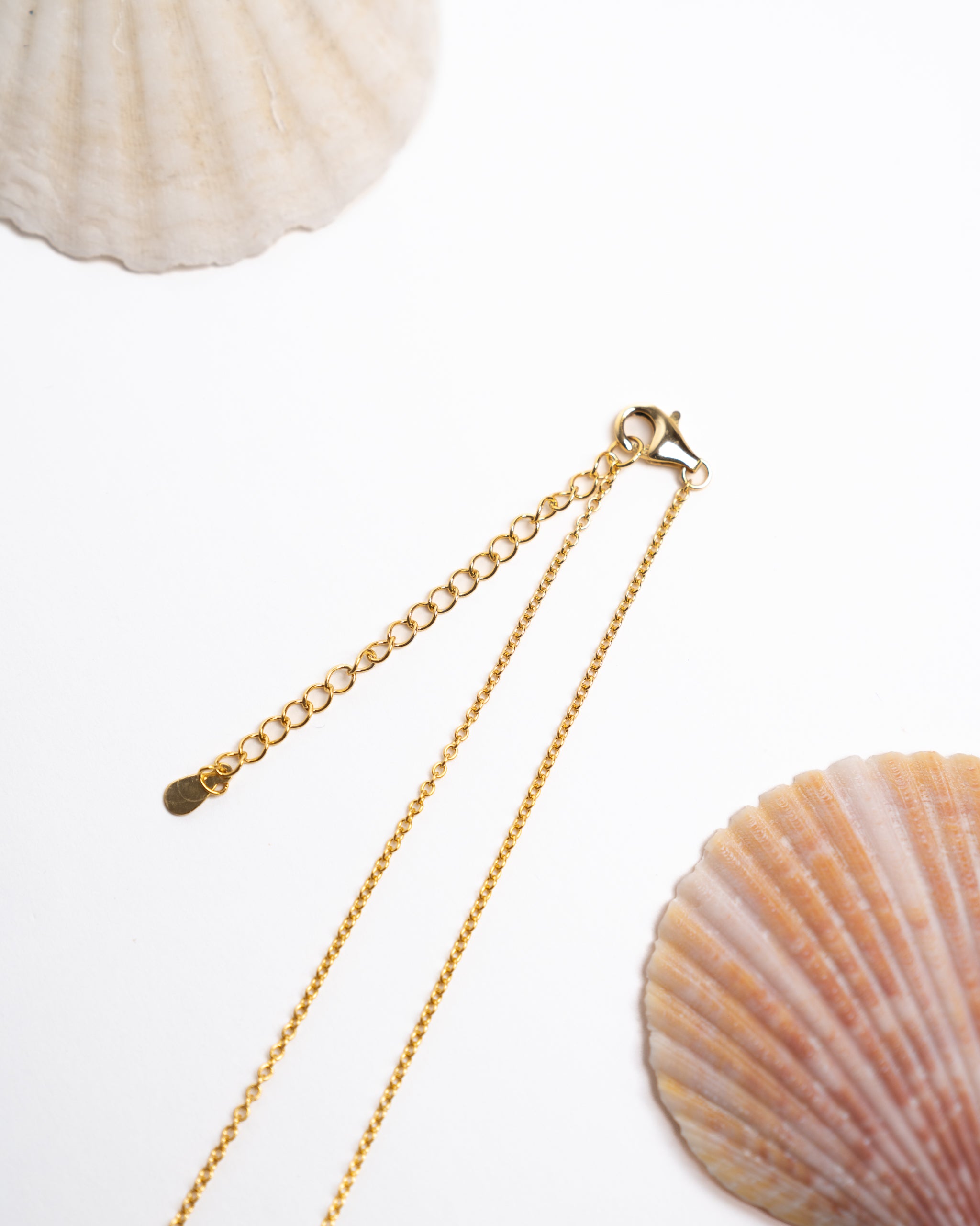 Cadena plata bañada en Oro 18K