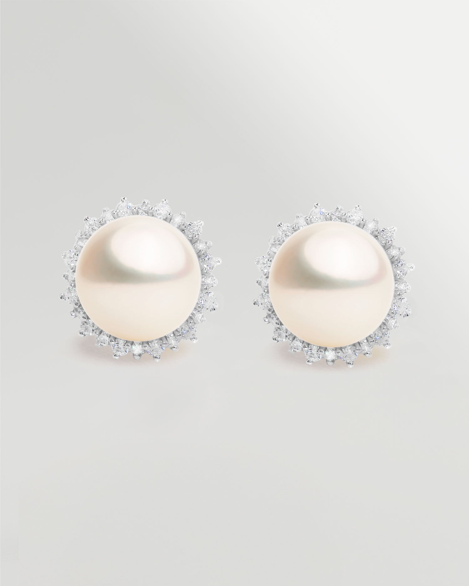 Pendientes de Perlas Botón Rodeados de Circonitas Secret & You