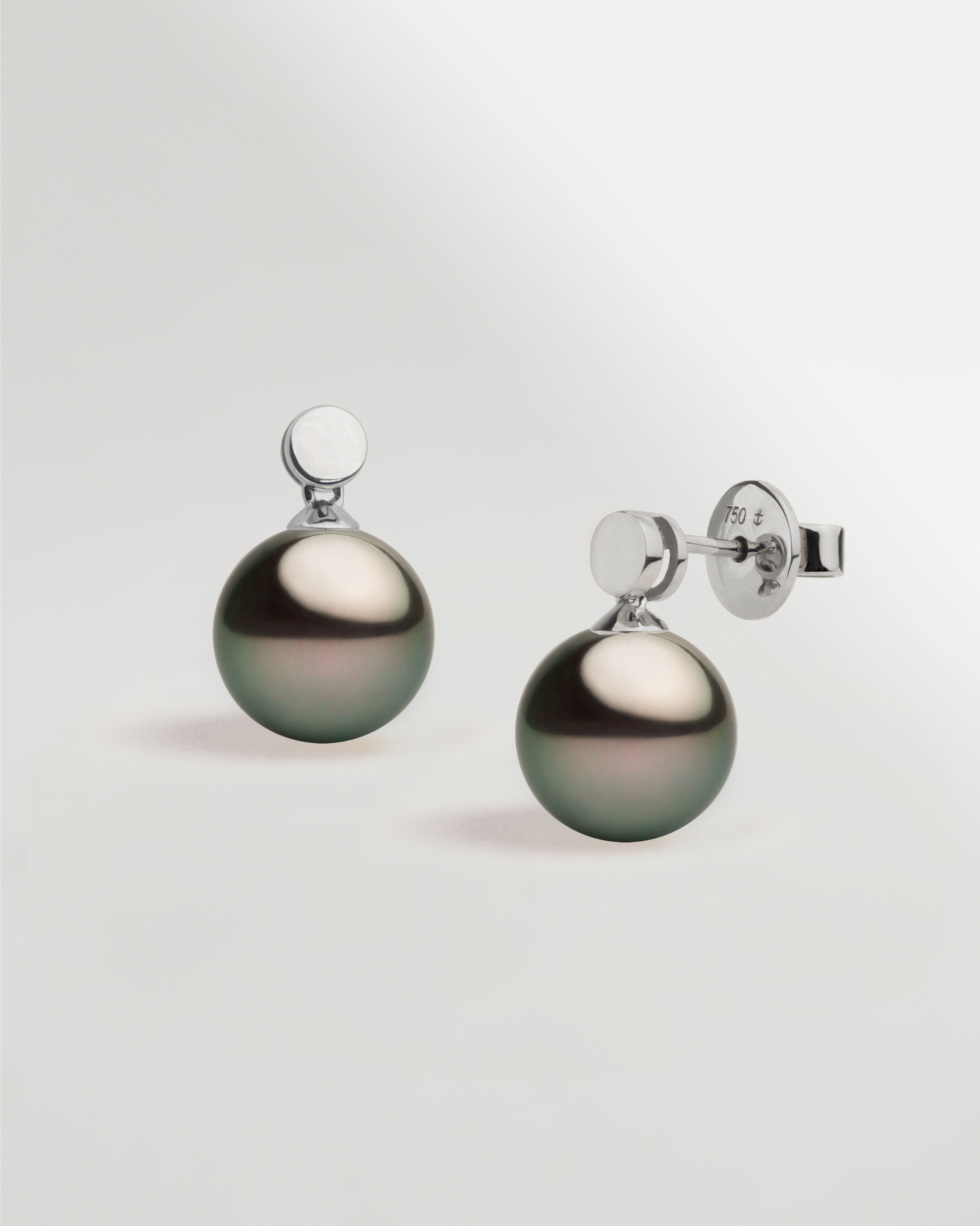 Pendientes Cassia con Perlas Tahiti y Disco de Oro Blanco | 9 - 10 mm