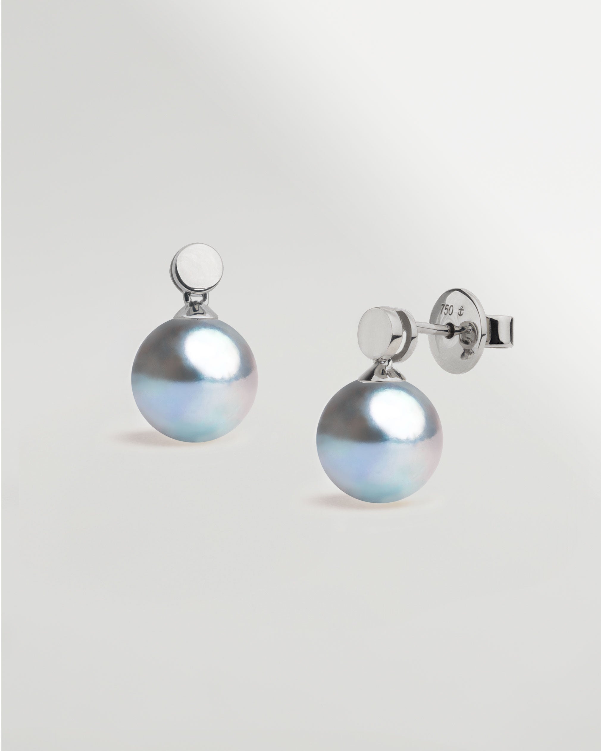 Pendientes Cassia Blue Akoya en Oro Blanco 18k | SY Perlas