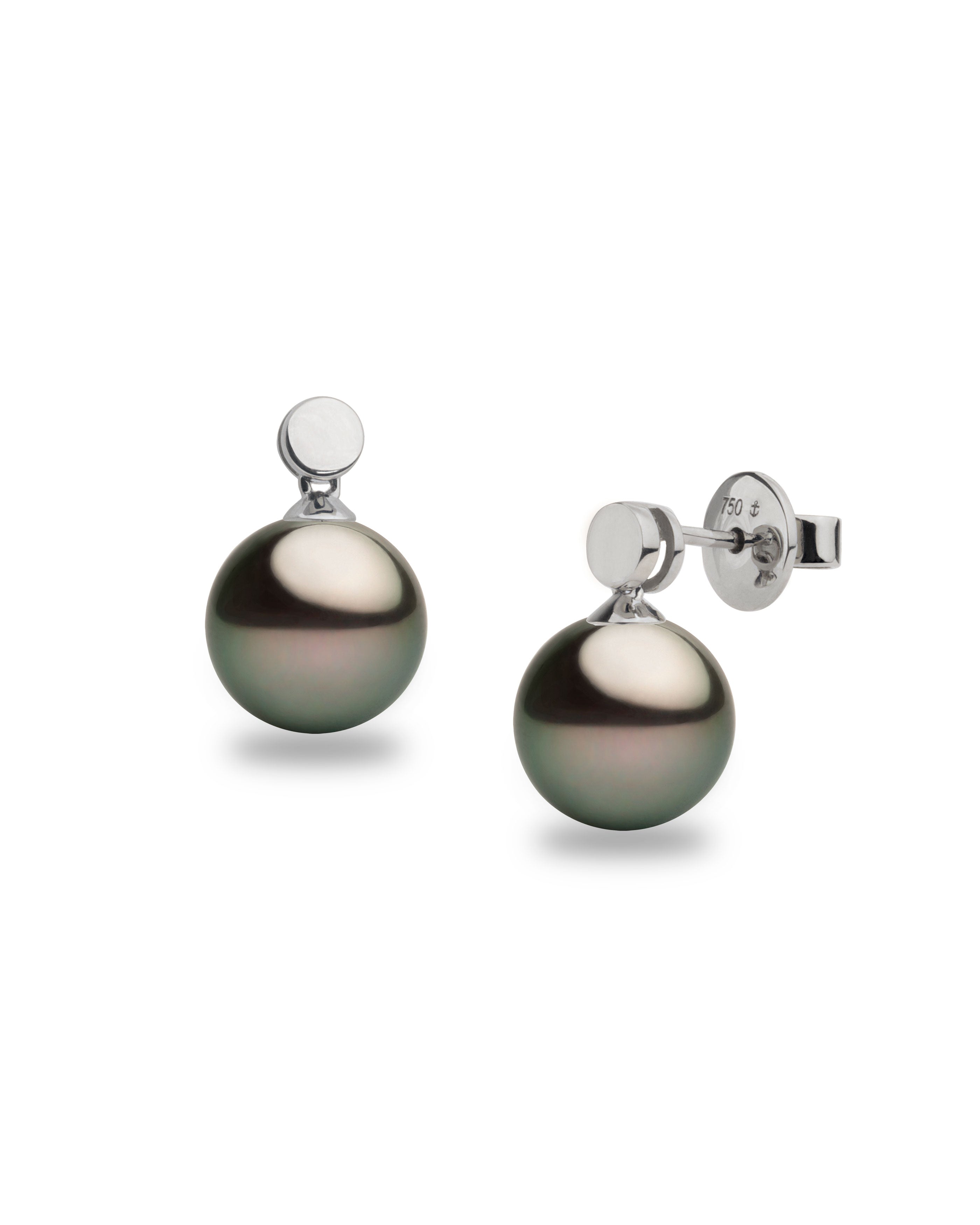 Pendientes Cassia con Perlas Tahiti y Disco de Oro Blanco | 9 - 10 mm